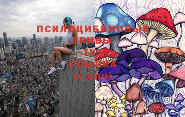 прущая мука Зеленодольск