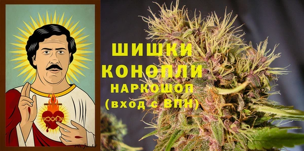 дживик Зеленокумск