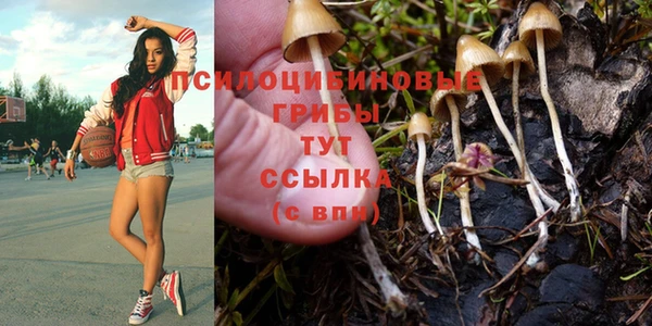 дживик Зеленокумск