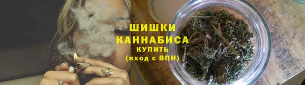 дживик Зеленокумск