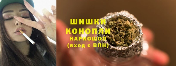 дживик Зеленокумск
