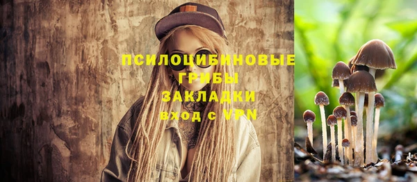 дживик Зеленокумск