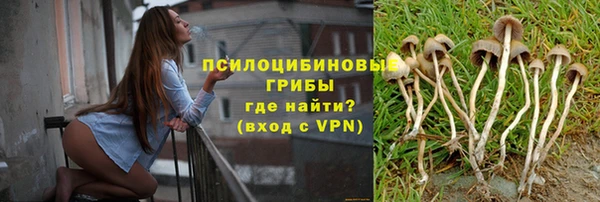 дживик Зеленокумск
