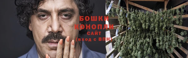 дживик Зеленокумск