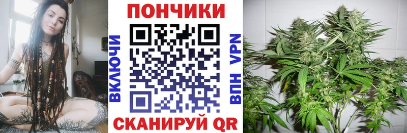 Купить закладки  Верхняя Салда  Бошки марихуана семена 